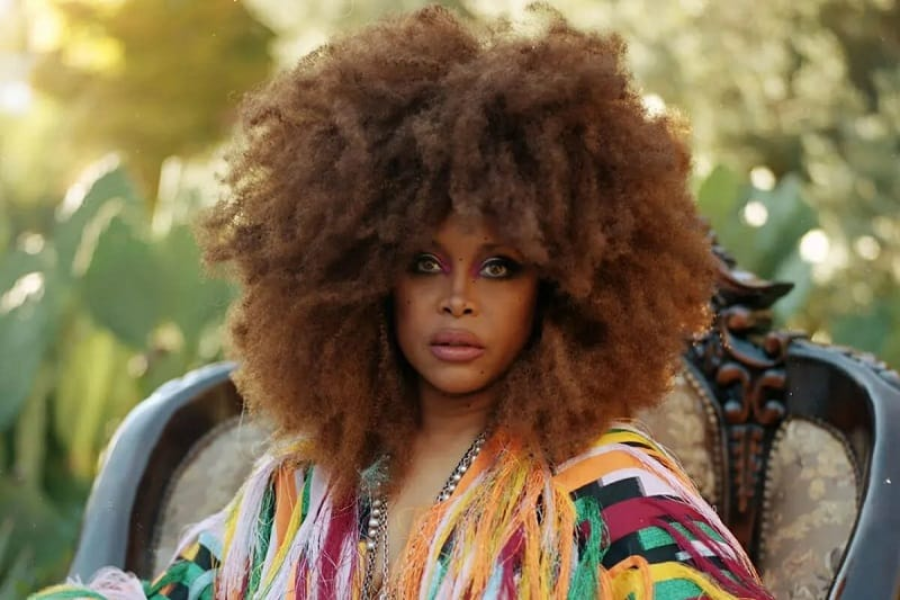 Kolleen Maria Gipson: Erykah Badu’s Inspirational Mother